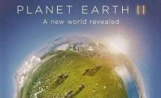 BBC.Planet Earth Season 2【地球脉动】第二季 2016年 百度网盘下载