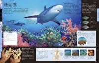 ��ͯ˯ǰ���¡���ͯ�°ٿ�ȫ�顷MP3������� 157��