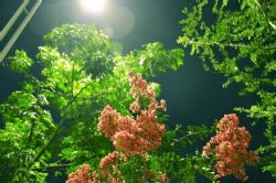 ˯ǰ���¡�����ֲ�����硷MP3������� 11��