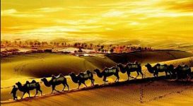 百家讲坛李晓商贾传奇(10集)