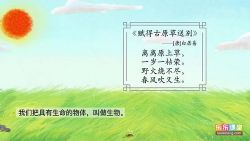 乐乐课堂之初中生物(高清视频)百度网盘