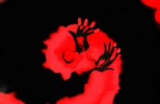 ������ڡ�Ӣ���ʶ���