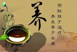 春夏秋冬说养生