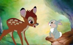 ��Ѱ��̽����£�С¹�߱�