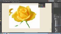 范丽琴手绘班 PS手绘(超清视频压缩)百度网盘