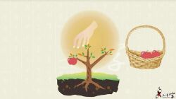 中华字课(视频完结版)百度网盘保存