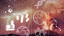 �����İ���