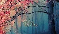 �껪����Ч��