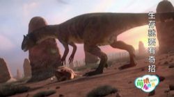 ���ۿ�����֮�������߽��������ľ������磨���������ٶ�����