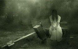 ���᳡��������������ѩ��