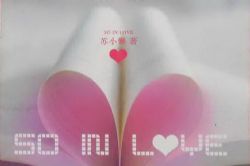 全世爱(作者:苏小懒)