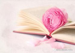 ˼��д�����������꼶��˼���������������ٶ�����