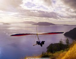 ��������� ����ļ��� Ѹ������