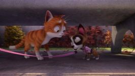 ħ���ܶ�Ա Ѹ������