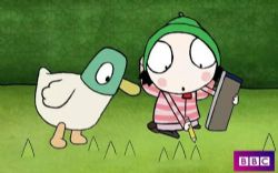 BBCɯ����СѼ�� Sarah and duck �ٶ����̱���