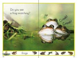 DK分级阅读 百度网盘保存