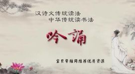 17��CCTV��¼Ƭ�ϼ� ��Ƶ��ʽ �ٶ�����