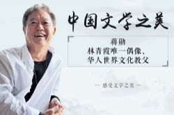 文学之美 蒋勋文学之美(完结)mp3音频 百度网盘