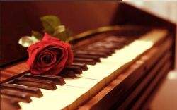 金鸽平:学钢琴必听20问(完结)mp3音频 百度网盘