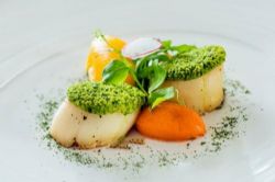 ��ţ��Ӱ�γ�רҵ�� 14G��Ƶ�γ� �ٶ�����