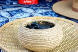 ����ƽΧ����Ƶ���� �ٶ����̱���