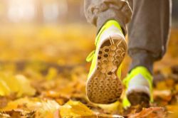 �ⶰ�����ܣ����ܲ�ʮ���ܣ���ᣩ