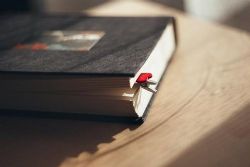 ����˽���ʼ�-ׯ�ӵ���������֮·��ȫ������ϲ�����ţ�