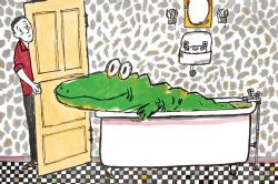 Ǯ���ְ���ϵ�С������Ӵ����ꡢ��������