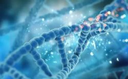 祁鸣说基因:活到150岁不是梦