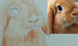 ̶�ݲ�Ǧ����֮��Ǧ����ࣨ��Ƶ���ٶ�����