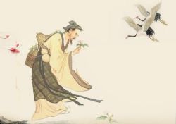 百家讲坛之千古中医故事(全16集)(主讲:孙立群)