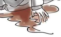 七杀(演播:冯骏骅、谢添天)(全24集)