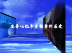 ����ɳ�ʷ��ȫ�������ټҽ�̳2001-2003 41��RMVB-5.87G���ٶ����̱���