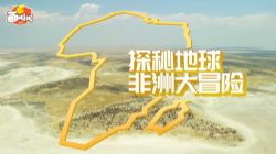 非洲大冒险 小灯塔系列(视频全)百度网盘保存