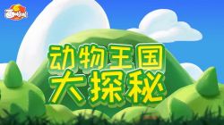 玩转奇妙动物世界 小灯塔系列(视频完结)百度网盘