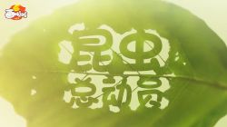 昆虫世界总动员 小灯塔系列(视频完结)百度网盘