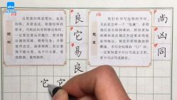 少儿硬笔书法教程-aha芝麻学社硬笔书法大通关(123节课程)百度网盘