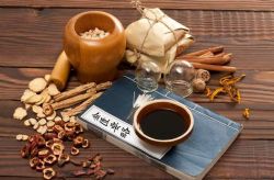 浙江中医药大学 金匮要略(全25集·完整版)