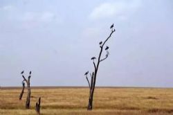 思维的精进:人生逆袭手册