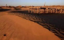 ���������飨ȫ30����