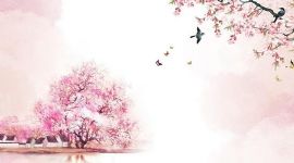 叶嘉莹先生:诗览众山小(完结)