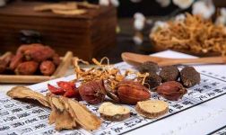 杨进讲温病 南京中医药大学(21讲)