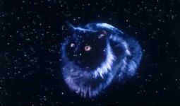 卫斯理系列之老猫(播音:大力)