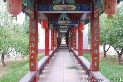 ����Ĺ��£��������ﵤ�֣�