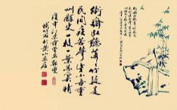 ���Űٴ��棨�������������