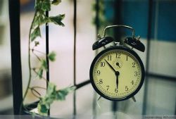 ���ӻ��ߵĽ��֮��