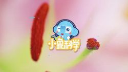 С���ѧ���꼶��ͬ����ѧ�Σ�63�ڣ���960��540��Ƶ���ٶ�����