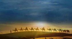 2018��ټҽ�̳˿��֮·��˿��