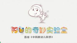 凯叔科学启蒙动画(完结)(高清视频)百度网盘