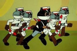 ���彲�����Ϻ�è����ȫ14��